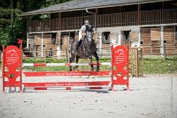 0005 CSO SAINT AULDE- GP110 - ARGENTINO D'EGLEFIN 0204CSO Saint Aulde GP 110CSO 2794- : 2 juillet 2016, 2016, ARGENTINO D'EGLEFIN, CSO Saint Aulde, GRANDCLEMENT Claire, Grand prix 110cm