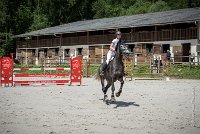 0006 CSO SAINT AULDE- GP110 - ARGENTINO D'EGLEFIN 0205CSO Saint Aulde GP 110CSO 2795- : 2 juillet 2016, 2016, ARGENTINO D'EGLEFIN, CSO Saint Aulde, GRANDCLEMENT Claire, Grand prix 110cm