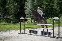 0011 CSO SAINT AULDE- GP110 - ARGENTINO D'EGLEFIN 0210CSO Saint Aulde GP 110CSO 2800- : 2 juillet 2016, 2016, ARGENTINO D'EGLEFIN, CSO Saint Aulde, GRANDCLEMENT Claire, Grand prix 110cm