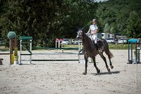 0014 CSO SAINT AULDE- GP110 - ARGENTINO D'EGLEFIN 0213CSO Saint Aulde GP 110CSO 2803- : 2 juillet 2016, 2016, ARGENTINO D'EGLEFIN, CSO Saint Aulde, GRANDCLEMENT Claire, Grand prix 110cm