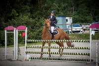 006CSO ST AULDE -CHRONO  105 - AROBASE TOP -2449 : 2 juillet 2016, 2016, Arobase Top, CHRONO 105, CSO Saint Aulde, STRADY Audrey