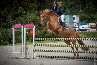 009CSO ST AULDE -CHRONO  105 - AROBASE TOP -2452 : 2 juillet 2016, 2016, Arobase Top, CHRONO 105, CSO Saint Aulde, STRADY Audrey