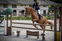 021CSO ST AULDE -CHRONO  105 - AROBASE TOP -2464 : 2 juillet 2016, 2016, Arobase Top, CHRONO 105, CSO Saint Aulde, STRADY Audrey