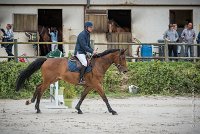 0001CSO SAINT AULDE- GP 105 - ASSEMONT 0161GP105CSO 5008- : 2016, 3 juillet 2016, ASSEMONT DES BUISSONS, CSO Saint Aulde, Grand Prix 105cm, TOUATI Jérôme