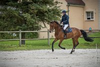 0008CSO SAINT AULDE- GP 105 - ASSEMONT 0168GP105CSO 5015- : 2016, 3 juillet 2016, ASSEMONT DES BUISSONS, CSO Saint Aulde, Grand Prix 105cm, TOUATI Jérôme