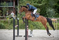 0022CSO SAINT AULDE- GP 105 - ASSEMONT 0182GP105CSO 5029- : 2016, 3 juillet 2016, ASSEMONT DES BUISSONS, CSO Saint Aulde, Grand Prix 105cm, TOUATI Jérôme