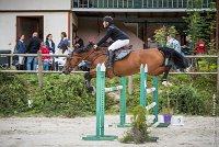 013CSO ST AULDE - GP 115 - ATHIKA -5884 : 2016, 3 juillet 2016, ATHIKA DES ROCHES, BOUGHABA DUPLAIX Anthony, CSO Saint Aulde, Grand Prix 115cm