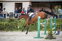 014CSO ST AULDE - GP 115 - ATHIKA -5885 : 2016, 3 juillet 2016, ATHIKA DES ROCHES, BOUGHABA DUPLAIX Anthony, CSO Saint Aulde, Grand Prix 115cm