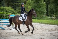 004CSO ST AULDE -GP  115 - AVRILL DALTON Z -5928 : 2016, 3 juillet 2016, AVRILL DALTON Z, CHAPPET Céline, CSO Saint Aulde, Grand Prix 115cm