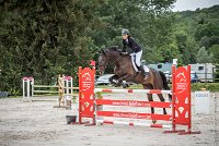 008CSO ST AULDE -GP  115 - AVRILL DALTON Z -5932 : 2016, 3 juillet 2016, AVRILL DALTON Z, CHAPPET Céline, CSO Saint Aulde, Grand Prix 115cm