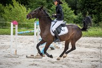 010CSO ST AULDE -GP  115 - AVRILL DALTON Z -5934 : 2016, 3 juillet 2016, AVRILL DALTON Z, CHAPPET Céline, CSO Saint Aulde, Grand Prix 115cm