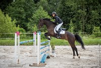 011CSO ST AULDE -GP  115 - AVRILL DALTON Z -5935 : 2016, 3 juillet 2016, AVRILL DALTON Z, CHAPPET Céline, CSO Saint Aulde, Grand Prix 115cm