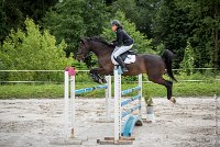 012CSO ST AULDE -GP  115 - AVRILL DALTON Z -5936 : 2016, 3 juillet 2016, AVRILL DALTON Z, CHAPPET Céline, CSO Saint Aulde, Grand Prix 115cm