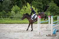 014CSO ST AULDE -GP  115 - AVRILL DALTON Z -5938 : 2016, 3 juillet 2016, AVRILL DALTON Z, CHAPPET Céline, CSO Saint Aulde, Grand Prix 115cm