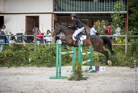 016CSO ST AULDE -GP  115 - AVRILL DALTON Z -5940 : 2016, 3 juillet 2016, AVRILL DALTON Z, CHAPPET Céline, CSO Saint Aulde, Grand Prix 115cm