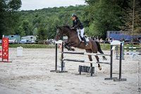 021CSO ST AULDE -GP  115 - AVRILL DALTON Z -5945 : 2016, 3 juillet 2016, AVRILL DALTON Z, CHAPPET Céline, CSO Saint Aulde, Grand Prix 115cm