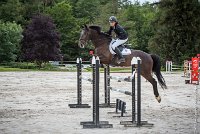 022CSO ST AULDE -GP  115 - AVRILL DALTON Z -5946 : 2016, 3 juillet 2016, AVRILL DALTON Z, CHAPPET Céline, CSO Saint Aulde, Grand Prix 115cm