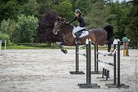 023CSO ST AULDE -GP  115 - AVRILL DALTON Z -5947 : 2016, 3 juillet 2016, AVRILL DALTON Z, CHAPPET Céline, CSO Saint Aulde, Grand Prix 115cm