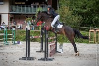 024CSO ST AULDE -GP  115 - AVRILL DALTON Z -5948 : 2016, 3 juillet 2016, AVRILL DALTON Z, CHAPPET Céline, CSO Saint Aulde, Grand Prix 115cm