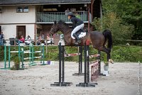 025CSO ST AULDE -GP  115 - AVRILL DALTON Z -5949 : 2016, 3 juillet 2016, AVRILL DALTON Z, CHAPPET Céline, CSO Saint Aulde, Grand Prix 115cm