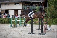 026CSO ST AULDE -GP  115 - AVRILL DALTON Z -5950 : 2016, 3 juillet 2016, AVRILL DALTON Z, CHAPPET Céline, CSO Saint Aulde, Grand Prix 115cm