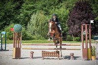 004CSO ST AULDE -PREPA 95 - BECASSINE DU HAMEAU -2044 : 2 juillet 2016, 2016, BECASSINE DU HAMEAU, CARLIER Jeanne, CSO Saint Aulde, P4, Prépa 95cm