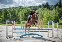 009CSO ST AULDE -PREPA 95 - BECASSINE DU HAMEAU -2049 : 2 juillet 2016, 2016, BECASSINE DU HAMEAU, CARLIER Jeanne, CSO Saint Aulde, P4, Prépa 95cm