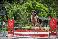 016CSO ST AULDE -PREPA 95 - BECASSINE DU HAMEAU -2056 : 2 juillet 2016, 2016, BECASSINE DU HAMEAU, CARLIER Jeanne, CSO Saint Aulde, P4, Prépa 95cm