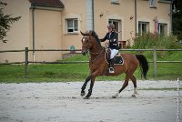 021CSO ST AULDE -GP 105- BEYONCE RV  -4967 : 2016, 3 juillet 2016, BEYONCE RV, CSO Saint Aulde, Grand Prix 105cm, SAINE Laura