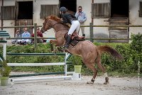 010CSO ST AULDE -GP 105  - FORTEZZO -5155 : 2016, 3 juillet 2016, CSO Saint Aulde, FORTEZZO, Grand Prix 105cm, PEROUELLE Sophie