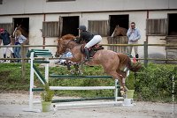 011CSO ST AULDE -GP 105  - FORTEZZO -5156 : 2016, 3 juillet 2016, CSO Saint Aulde, FORTEZZO, Grand Prix 105cm, PEROUELLE Sophie