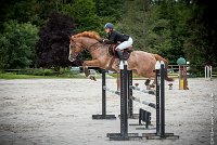 032CSO ST AULDE -GP 105  - FORTEZZO -5177 : 2016, 3 juillet 2016, CSO Saint Aulde, FORTEZZO, Grand Prix 105cm, PEROUELLE Sophie