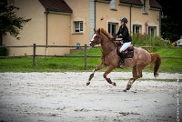 034CSO ST AULDE -GP 105  - FORTEZZO -5179 : 2016, 3 juillet 2016, CSO Saint Aulde, FORTEZZO, Grand Prix 105cm, PEROUELLE Sophie