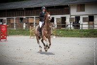 006CSO ST AULDE -GP 110  - FORTEZZO -2682 : FORTEZZO, Grand prix 110cm, PEROUELLE Sophie