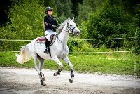 0003CSO SAINT AULDE - PREPA 90 - GRIVOIS 0152Prepa CSO 4214- : 2016, 3 juillet 2016, GRIVOIS, NOEL Elodie, PREPARATOIRE 90 cm, Prepa