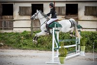 0012CSO SAINT AULDE- PREPA100 - NUITS 0534Prepa CSO 4596- : 2016, 3 juillet 2016, Complaisance, DEVREE Marine, NUITS DE SOULT, PREPARATOIRE 100 cm, Prepa