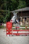 0015CSO SAINT AULDE   GP 110   OSIRIS 0408CSO Saint Aulde GP 110CSO 2998- : 2 juillet 2016, 2016, COURAT Charlotte, CSO Saint Aulde, Grand prix 110cm, OSIRIS DU RENAN