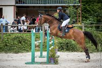 008CSO ST AULDE -GP 105 - PABLO D'ARGONE -5398 : 2016, 3 juillet 2016, ALLARD Charlotte, CSO Saint Aulde, Grand Prix 105cm, PABLO D'ARGONNE