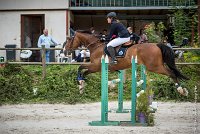 009CSO ST AULDE -GP 105 - PABLO D'ARGONE -5399 : 2016, 3 juillet 2016, ALLARD Charlotte, CSO Saint Aulde, Grand Prix 105cm, PABLO D'ARGONNE