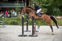 017CSO ST AULDE -GP 105 - PABLO D'ARGONE -5407 : 2016, 3 juillet 2016, ALLARD Charlotte, CSO Saint Aulde, Grand Prix 105cm, PABLO D'ARGONNE