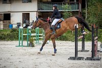 019CSO ST AULDE -GP 105 - PABLO D'ARGONE -5409 : 2016, 3 juillet 2016, ALLARD Charlotte, CSO Saint Aulde, Grand Prix 105cm, PABLO D'ARGONNE