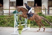 008CSO ST AULDE -PREPA 90- PRELUDE FLORENS -4290 : 2016, 3 juillet 2016, COCAGNE Emilie, PRELUDE FLORENS, PREPARATOIRE 90 cm, Prepa