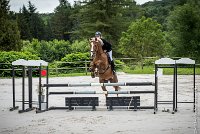 014CSO ST AULDE -PREPA 90- PRELUDE FLORENS -4296 : 2016, 3 juillet 2016, COCAGNE Emilie, PRELUDE FLORENS, PREPARATOIRE 90 cm, Prepa