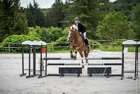 015CSO ST AULDE -PREPA 90- PRELUDE FLORENS -4297 : 2016, 3 juillet 2016, COCAGNE Emilie, PRELUDE FLORENS, PREPARATOIRE 90 cm, Prepa