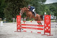 0001CSO SAINT AULDE- GP 125 - QUALINE 0231GP125CSO 6677- : 2016, 3 juillet 2016, BRIDOUX Thibault, CSO Saint Aulde, Grand Prix 125cm, QUALINE DE LA MARFEE