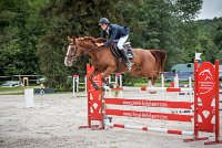 0002CSO SAINT AULDE- GP 125 - QUALINE 0232GP125CSO 6678- : 2016, 3 juillet 2016, BRIDOUX Thibault, CSO Saint Aulde, Grand Prix 125cm, QUALINE DE LA MARFEE