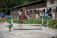 0007CSO SAINT AULDE- GP 125 - QUALINE 0242GP125CSO 6687- : 2016, 3 juillet 2016, BRIDOUX Thibault, CSO Saint Aulde, Grand Prix 125cm, QUALINE DE LA MARFEE