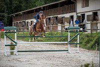 0008CSO SAINT AULDE- GP 125 - QUALINE 0241GP125CSO 6688- : 2016, 3 juillet 2016, BRIDOUX Thibault, CSO Saint Aulde, Grand Prix 125cm, QUALINE DE LA MARFEE