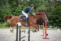 0012CSO SAINT AULDE- GP 125 - QUALINE 0248GP125CSO 6694- : 2016, 3 juillet 2016, BRIDOUX Thibault, CSO Saint Aulde, Grand Prix 125cm, QUALINE DE LA MARFEE