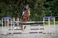 0013CSO SAINT AULDE- GP 125 - QUALINE 0249GP125CSO 6695- : 2016, 3 juillet 2016, BRIDOUX Thibault, CSO Saint Aulde, Grand Prix 125cm, QUALINE DE LA MARFEE